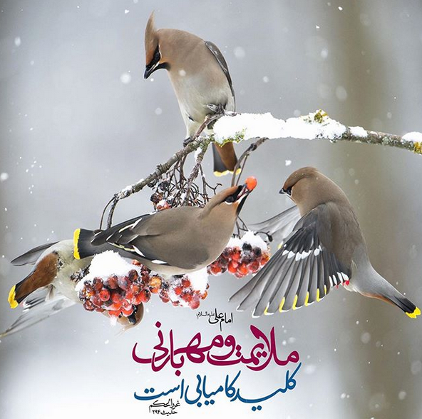 حدیث
