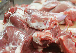 آغاز توزیع گوشت گرم وارداتی در چهارمحال و بختیاری