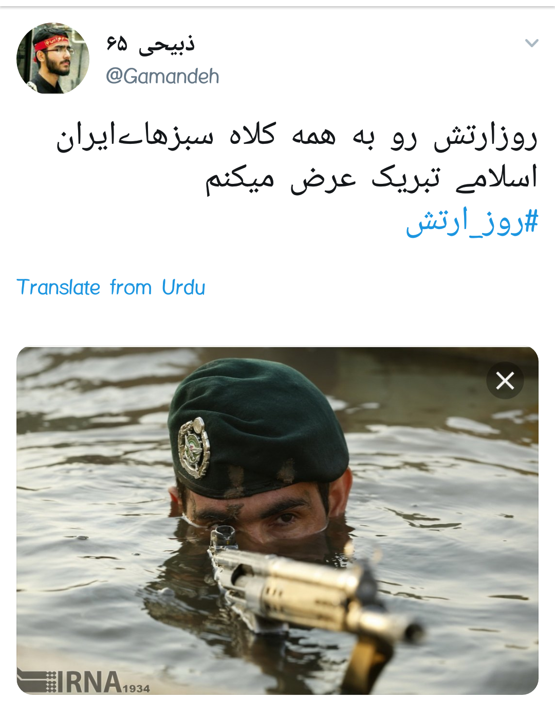 #ارتش / روز خورشید های کلاه سبز روزهای خاکستری دفاع +تصاویر
