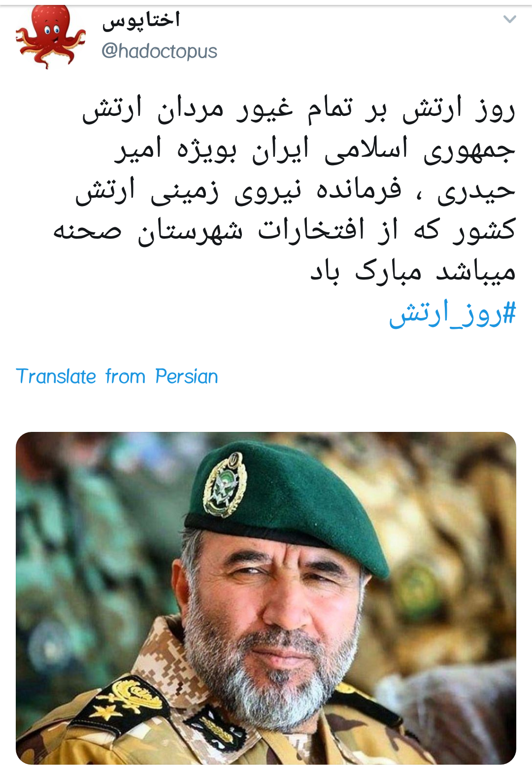 #ارتش / روز خورشید های کلاه سبز روزهای خاکستری دفاع +تصاویر