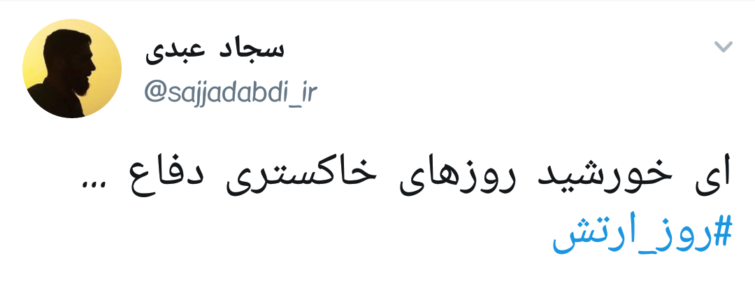 #ارتش / روز خورشید های کلاه سبز روزهای خاکستری دفاع +تصاویر
