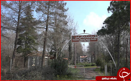 آخرین اخبار از مناطق سیل&zwnj; زده/