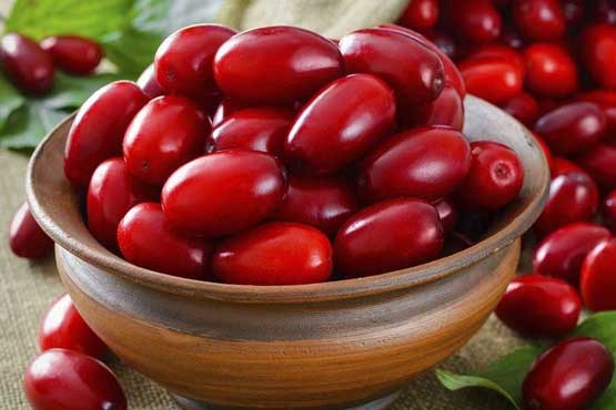 (دانستنی) دانه&zwnj;هایی مفید برای سیاه کردن موها/ در طول دوران عادت ماهیانه چه موادی را نباید مصرف کرد؟/ میوه&zwnj;ای ترش برای تقویت استخوان