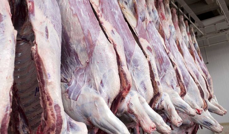 محدودیتی در واردات گوشت قرمز و دام زنده وجود ندارد/ واردات گوشت از بیش از ۴۰ کشور دنیا