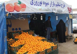 آغاز مرحله دوم توزیع میوه عید در قزوین
