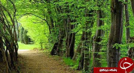 از رشته مهندسی طبیعت و دروس آن چه میدانید؟