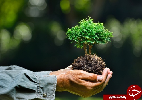 از رشته مهندسی طبیعت و دروس آن چه میدانید؟