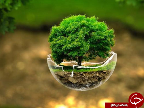 از رشته مهندسی طبیعت و دروس آن چه میدانید؟