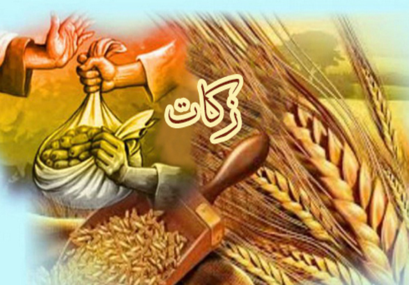 تحقق 118 درصدی برنامه ابلاغی زکات استان زنجان