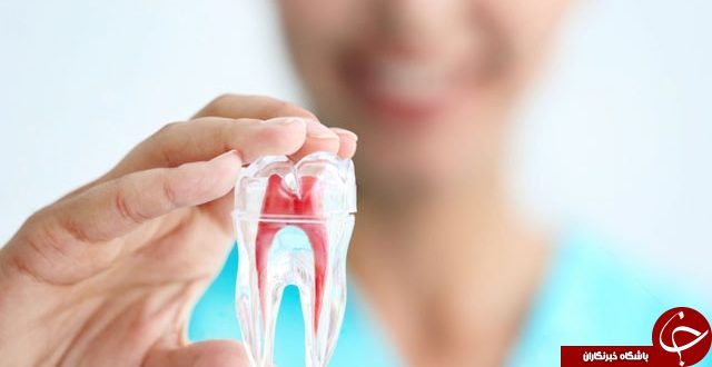 آیا میدانید؛ برای تحصیل در رشته دندانپزشکی چه توانایی هایی باید داشته باشید؟!