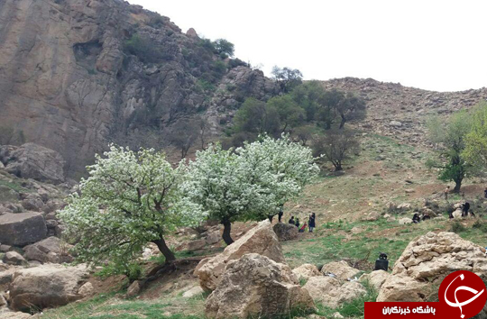 پیرغار یادگار دوران مشروطیت پذیرای گردشگران نوروزی