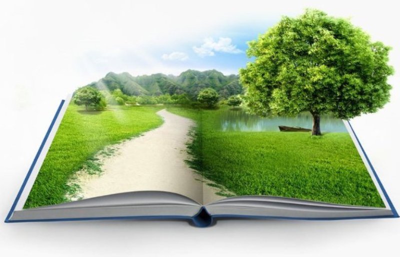 توجه به مسائل زیست محیطی در کتاب&zwnj;های درسی/ خانواده&zwnj;ها اهداف تربیتی را از مدارس مطالبه کنند