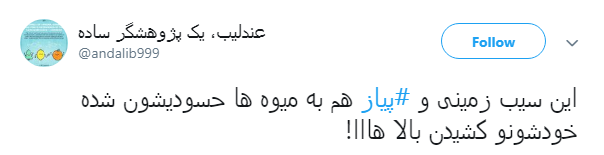 از این به بعد بجای پیاز باید موز بریزیم تو غذامون! از این به بعد بجای پیاز باید موز بریزیم تو غذامون!
