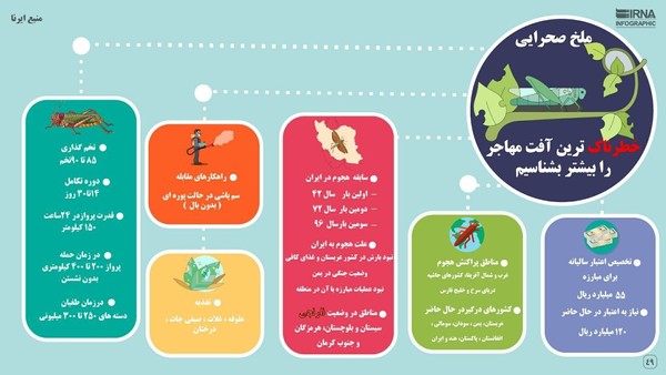 ملخ صحرایی / خطرناک&zwnj;ترین آفت مهاجر را بیشتر بشناسید +اینفوگرافیک