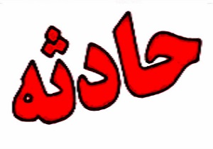 نوه قربانی بی احتیاطی پدر بزرگ شد
