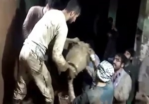حال و هوای جهادگران همدانی در آستانه نیمه شعبان + فیلم