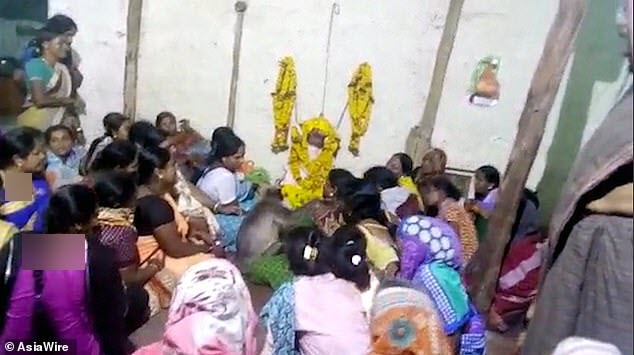 همدردی عجیب میمون با زن داغدار! + فیلم///
