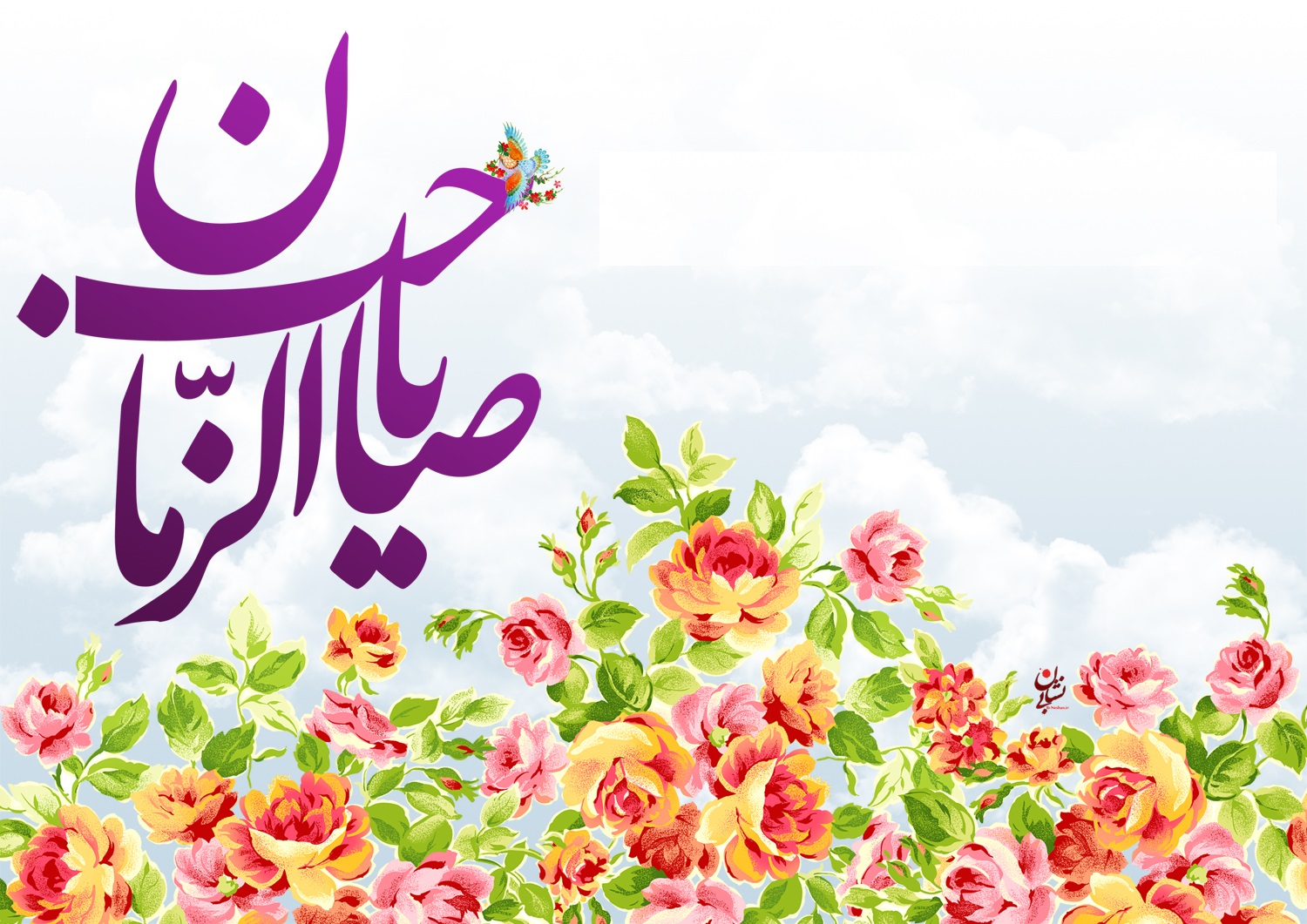 اجرای طرح ۳۱۳ در شهرستان ملایر