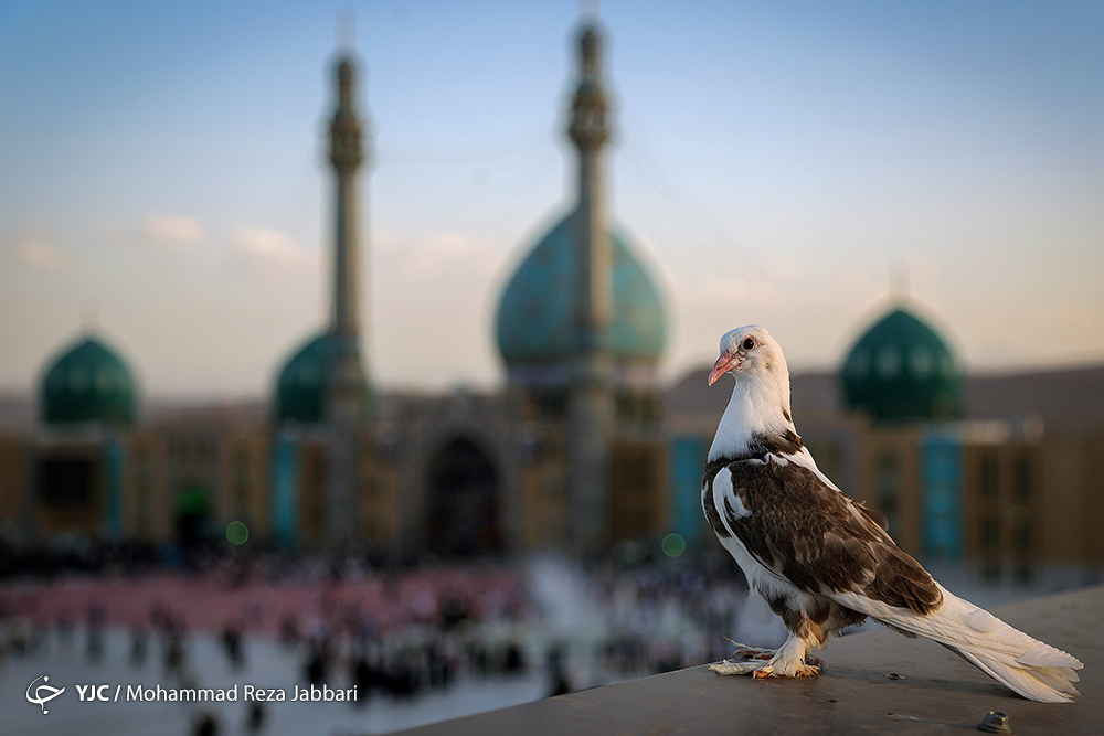 بزرگترین اشتباه در انتظار فرج /  جایگاه خورشید و مهدویت در منظومه شمسی و آفرینش
