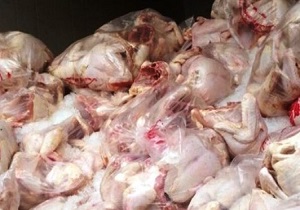 کشف محموله مرغ غیر قابل مصرف در سرخه
