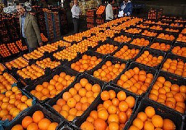 توزیع ۸ تن سیب و پرتقال با نرخ دولتی در دهدشت