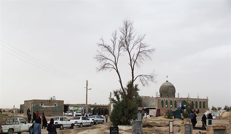 ۱۰۰ هزار نفر از طرح آرامش بهاری سیستان وبلوچستان بهره&zwnj;مند شدند