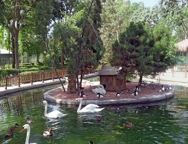 درحال حاضر باغ پرندگان ناژوان بیشترین آمار بازدید کننده را به خود اختصاص داده است