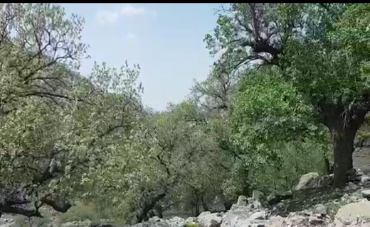 ممممممممممممممممممم
