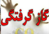 ۲۰ نفر در کهگیلویه و بویراحمد دچار گاز گرفتگی شدند