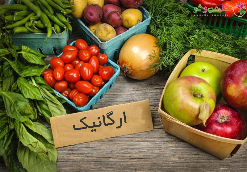 ایران رتبه ۴۳ تولید محصولات ارگانیک در دنیا را داراست/تولید محصولات ارگانیک در ایران به کمتر از یک درصد می&zwnj;رسد