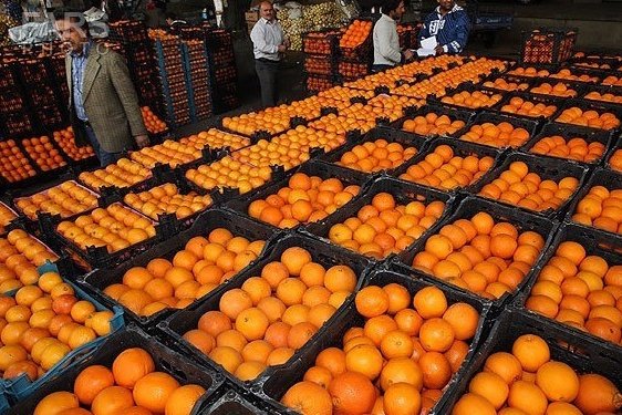 ۴۳۰ تن میوه شب عید در سیستان و بلوچستان توزیع شد
