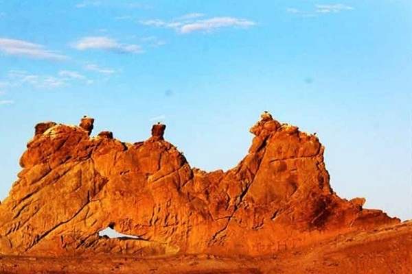 آشنایی با قلعه لک لکها زیباترین جاذبه گردشگری استان زنجان آشنایی با قلعه لک لکها زیباترین جاذبه گردشگری استان زنجان