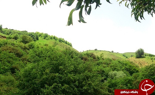 شهرستان اشنویه چشم انتظار گردشگران نوروزی در ایام نوروز
