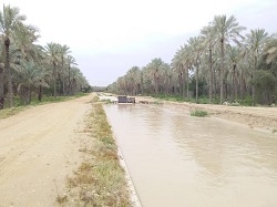 به محدوده کانال های آبیاری نزدیک نشوید/ هدایت روان‌آب رودخانه دالکی به سمت نخلستان‌ها
