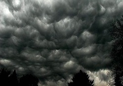 ناپدیدشدن جاده های زنجان زیر مه غلیظ + فیلم