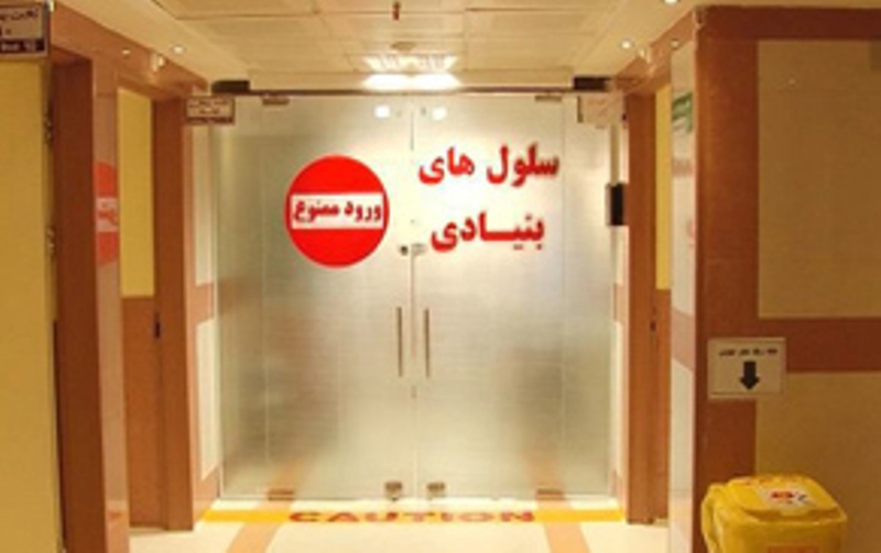 ایران دارای بیشترین مرکز پیوند سلول&zwnj;های بنیادی به بیماران تالاسمی در دنیا/واردات سلول&zwnj;های بنیادی تا ۱۰۰ هزار دلار آب می&zwnj;خورد
