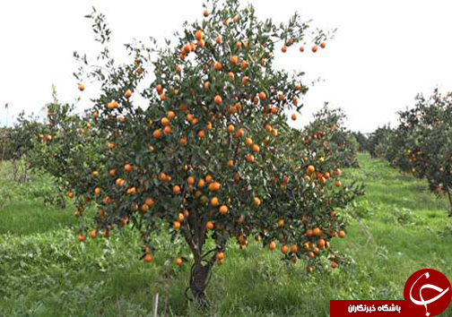 نگاهی گذرا به مهمترین رویداد&zwnj;های سه شنبه ۷ فروردین ماه در مازندران