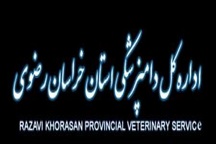انجام ۵۰۰۰ بازدید از مراکز تولید و عرضه فرآورده‌های خام دامی در خراسان رضوی