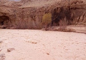برخی مناطق گردشگری طبس به دلیل سیلاب مسدود است