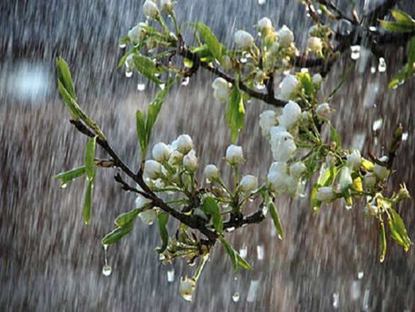 رشد ۱۵۶ درصدی بارش نسبت به دوره بلندمدت/ بارش های نرمال در ماه&zwnj;های آتی استمرار خواهد داشت
