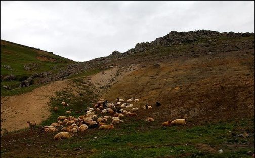 معرفی جاذبه&zwnj;های گردشگری شهرستان اهر