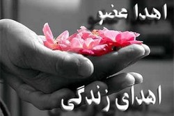 هدیه زندگی، زیباترین عیدی ۹۸