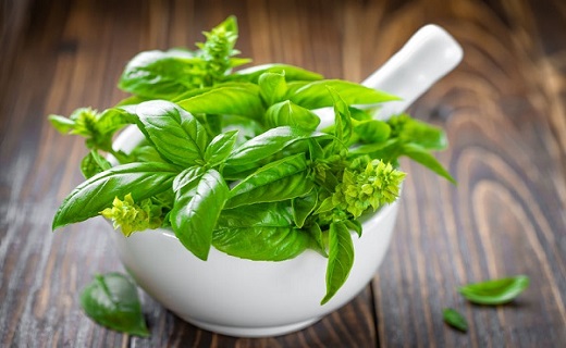 علل بوی بد بدن + نسخه&zwnj;های درمانی طب سنتی / چگونه بدون استفاده از مام بدنی خوشبو داشته باشیم؟