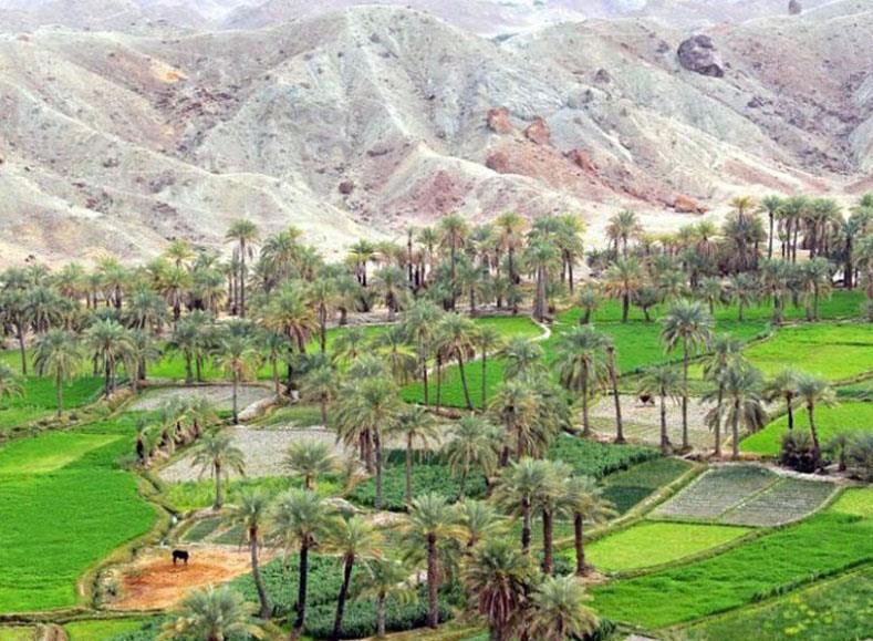 قصرقند؛ سرزمین شگفتی&zwnj;ها گردشگران را فرا می&zwnj;خواند