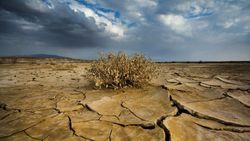 ۱۰ مورد از بزرگ&zwnj;ترین تهدیدات جهانی در سال ۲۰۱۹/از حوادث شدید آب&zwnj;وهوایی تا بلایای طبیعی