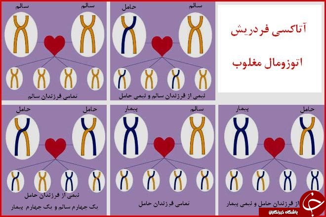آتاکسی فردریش چیست و چه پیشینه ای دارد؟