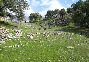 همدردی هموطنان با قربانیان سیل در دروازه قرآن/ زیبایی&zwnj;های شهرستان نورآباد ممسنی/ جاده&zwnj;های ارتباطی پلدختر &ndash; خرم آباد تخریب شد/ چرای گوسفندان در بیستون + فیلم و تصاویر