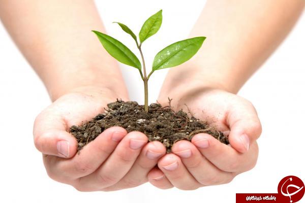 معرفی و بررسی رشته گیاه پزشکی +توانایی&zwnj;های لازم و بازار کار