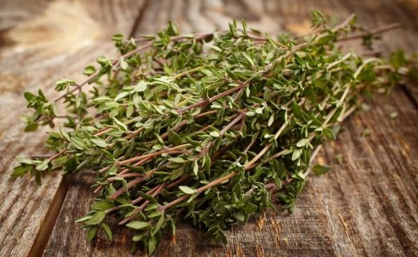 خواص آویشن + چه کسانی نباید آویشن بخورند؟