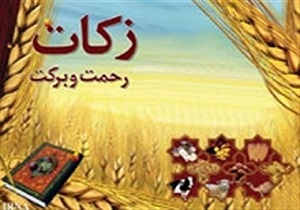 جمع آوری ۱۱۵ میلیون تومان زکات در ۱۰ روستای طارم